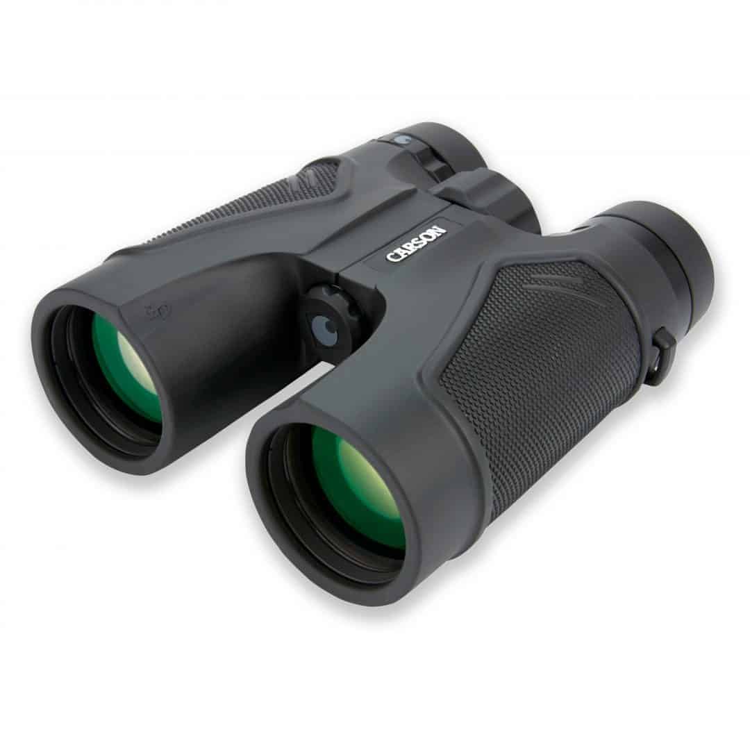 Essential Birdwatching Gear Bird Enthusiasts